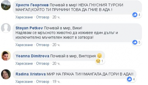 Коментари от Фейсбук за Виктория