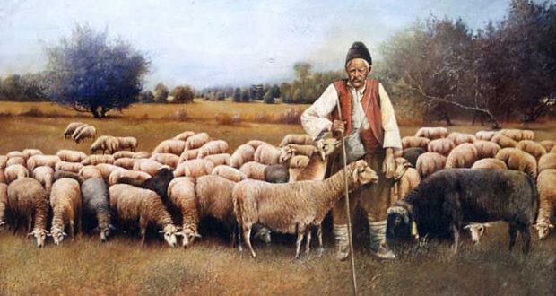 Отива дядо овчар на преглед