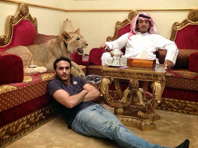 Играчките на саудитските богаташчета