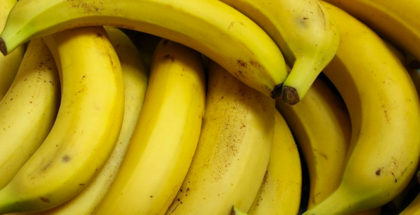 Бананите изчезват от света
