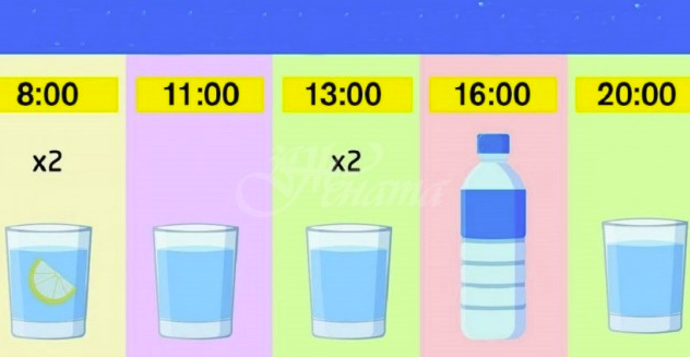 Пиеш вода по график и отслабваш