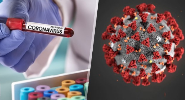 какво трябва да знаем за коронавируса