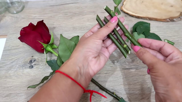 Вкореняване на роза от букет. 3 лесни начина у дома