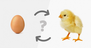 Кое е първо - яйцето или кокошката? Изследователи все по-близо до вековната загадка