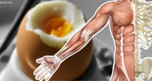 13 чудесни неща които ще се случат с тялото ви ако ядете яйца всеки ден