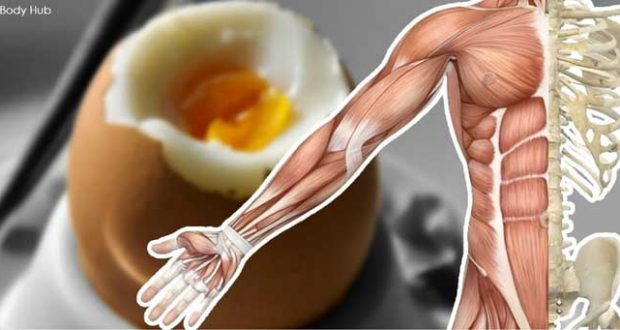 13 чудесни неща които ще се случат с тялото ви ако ядете яйца всеки ден