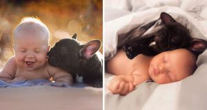 Бебе и куче родени в един ден израстват като братя и връзката им е невероятна!