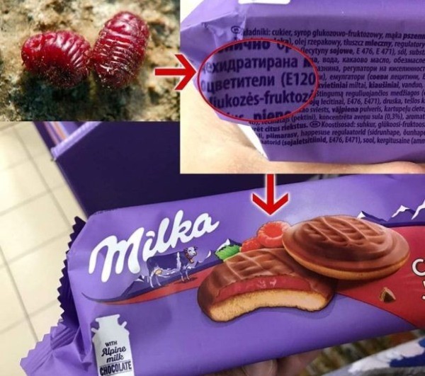 Снимка на шоколад провокира дискусии в мрежата