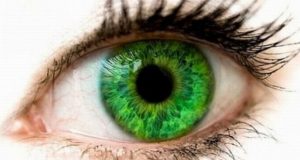 7 особености на хората, надарени със зелени очи