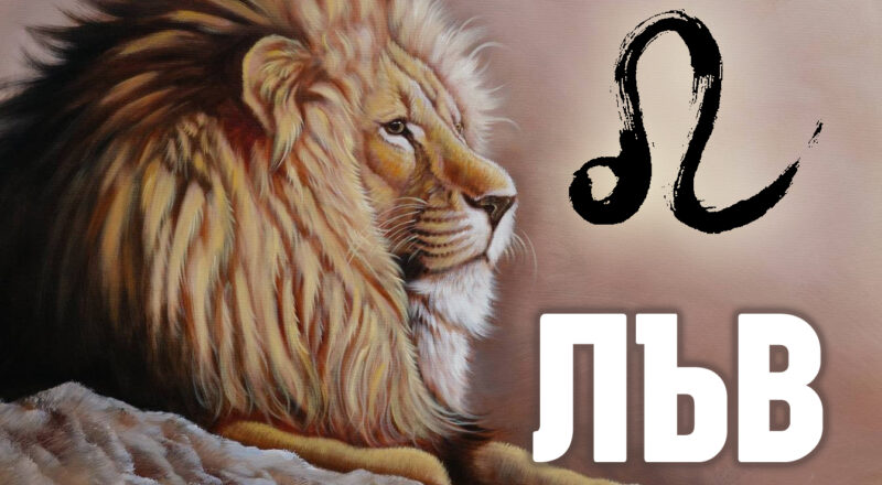 Как да не ги обичаш? 10 особености на характера присъщи само на Лъвовете