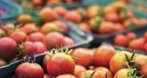 Задава се нов ценови скок: Турция спря износа на домати за ЕС след земетресението