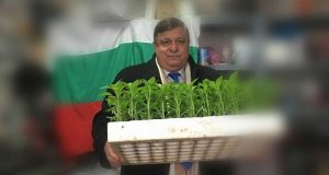 Земеделец: От руските оранжерии могат да бъдат закупени 4-5 пъти по-евтини зеленчуци отколкото от Гърция и Турция