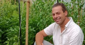 Българин изобрети нов ефикасен метод за отглеждане на домати без пръскане с препарати