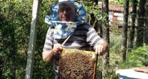 Всеки мед е сладък но не всеки е полезен! Тайните от кухнята разкрива пчелар с 30-годишен стаж