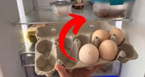 На бас че и вие правите тази грешка: Ето как яйцата от хладилника убиват здравето ви!