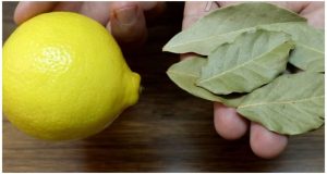 6 дафинови листа с лимон: помощ за сърцето и възпалените бронхи