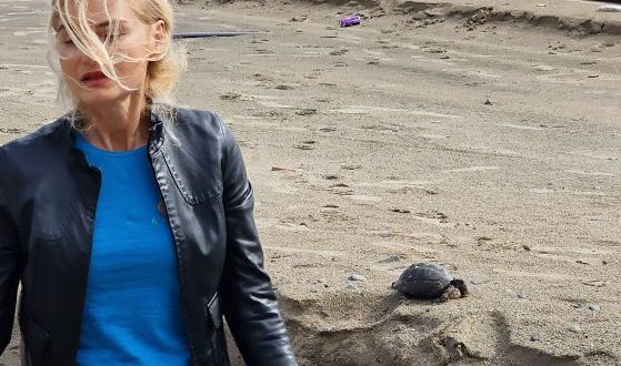 Министърът на туризма Зарица Динкова отрече да е хвърлила сухоземна костенурка в морето отишла да помогне с каквото може
