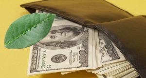 Защо да слагате дафинов лист в портфейла: тайна за пари