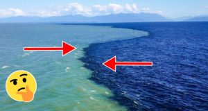 Невероятна гледка: Вижте как се срещат Тихия и Атлантическия океан - ето защо не се смесват (СНИМКИ):