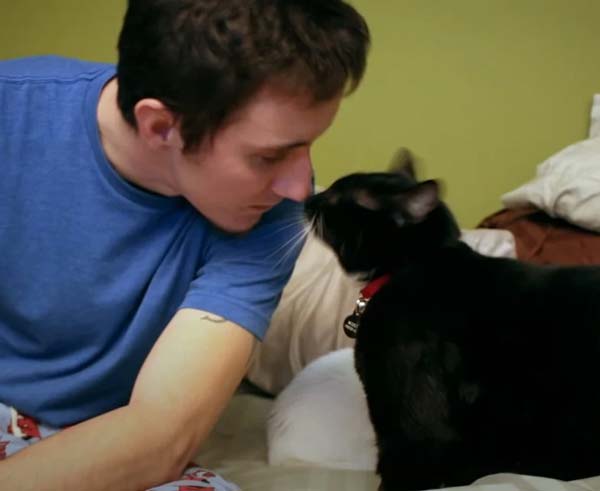 "Стой! Аз ще бъда с теб.” Непозната котка се изпречила пред мъж който мислел да се самоубие