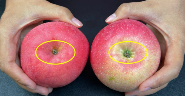 Можете ЛЕСНО да разпознаете хрупкави и сладки ябълки за 1 секунда. Просто ги погледнете за това: /СНИМКИ/