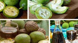 Ликьор от зелени орехи – забравеното лекарство, което може да излекува над 10 болести! Ето моята рецепта