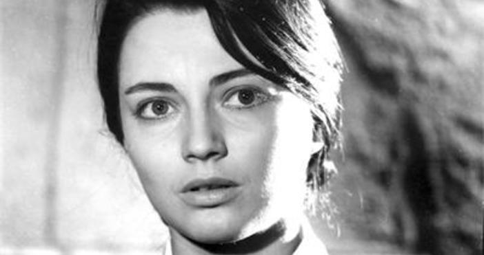 25 години без Невена Коканова