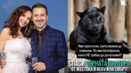 Александър Сано зове: Не убивайте леопарда!