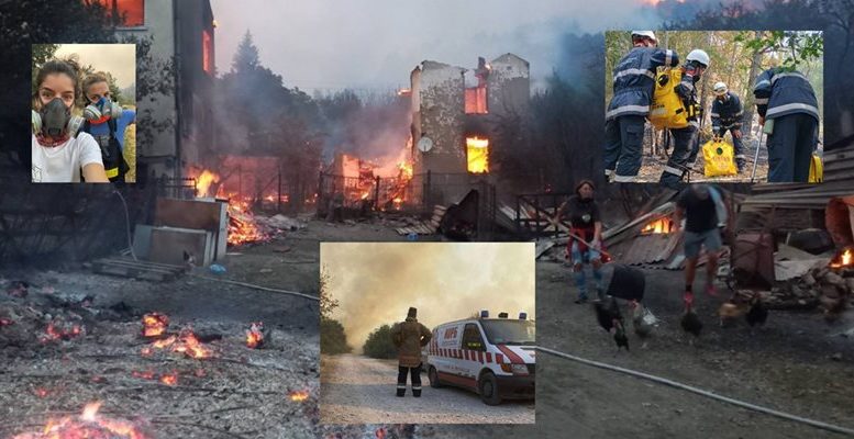 Ето ги героите, изправили се срещу огнената стихия (снимки)