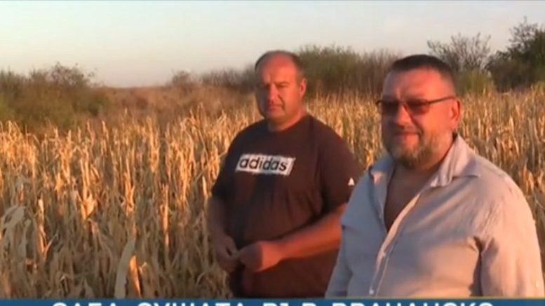 Беше най-плодородната земя в България, сега се превръща в пустиня