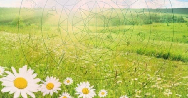 Зодиите, които ще се скъсат от късмет през ноември 2025 г.