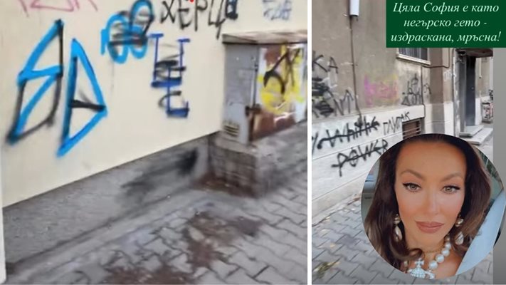 Гери Дончева избухна: София е, като негърско гето!