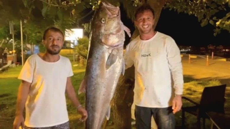 Рибари любители уловиха огромен звяр, парите от продажбата дариха на сирачета