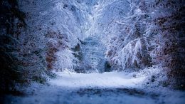 Идва люта зима и обилен снеговалеж