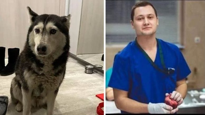 Д-р Цоневски обвинен за жестокост към кучето Мая но не и за убийството. Животното щяло да живее евтаназирали го защото е старо и бездомно