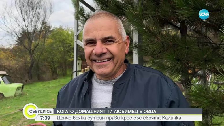 Българин: Децата искаха домашен любимец купих овцата Калина - яде луканка и пие кафе!