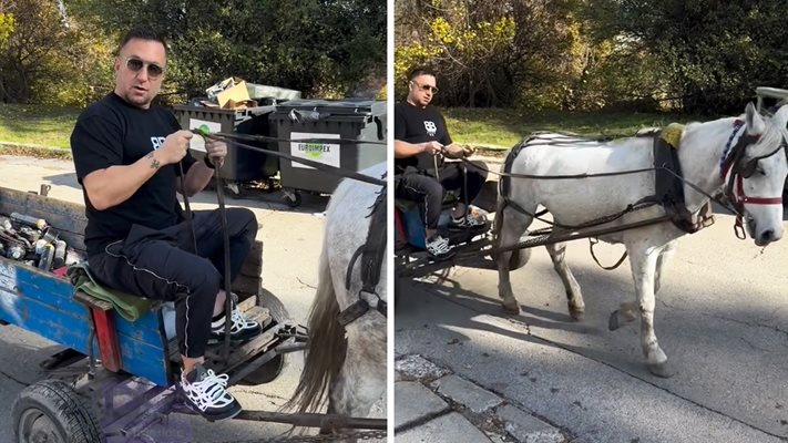 Коцето подкара средство с мощност един кон (Видео)