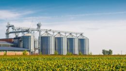 Фалира един от най-големите зърнари в България