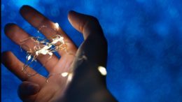 Тези ЧЕТИРИ зодиакални знака са истинските главни герои през 2026 година