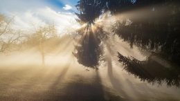 Обрат с времето! До часове нахлува...