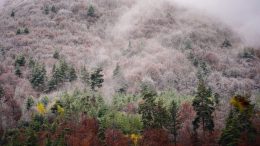 Времето се променя в четвъртък, но уикендът носи неприятния обрат