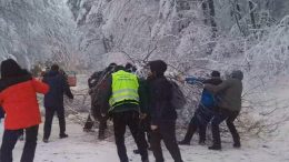 Пътници от автобус 66 слязоха на снега и отстраниха паднало дърво на пътя за хижа Алеко