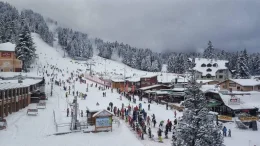 Проф. Драганов: 7 евро за капучино не са много народът вече има повече пари