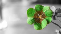 Вижте кой ще е най-щастливият ви ден през новата седмица