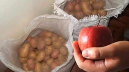 Няма да ви го кажат в магазина: С този ТРИК картофите не покълват през зимата, бананите не покафеняват, а морковите траят цяла година!