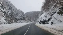 АПИ предупреждава: Карайте внимателно утре са възможни поледици!