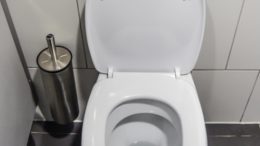 Жена откри уебкамера под капака на тоалетната чиния на ресторант