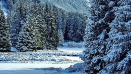 Синоптик с предупреждение за 4 и 7 януари