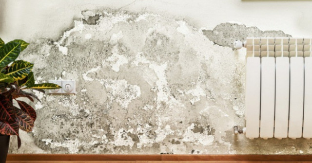 Той откри трик за почистване на мухъл по стените: 2 лъжици от това са достатъчни петната изчезват за 10 минути!