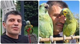 Папагалите Тиамо и Аморе владеят сърцето на Жоро Игнатов